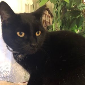 Meet your Posher, Nancy